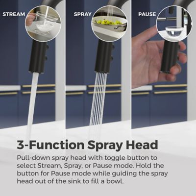 Product Thumbnail Image for pf_lg529-sab_img05
