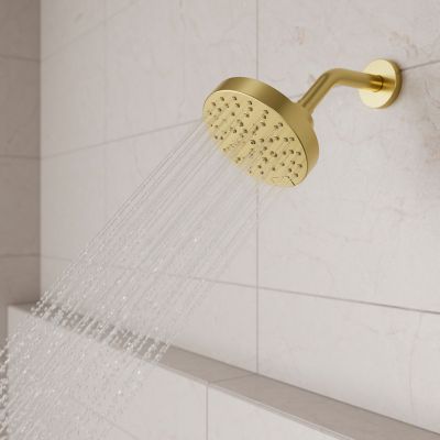 Product Vignette for pf_modernshower_ush-50shwbg_vw9