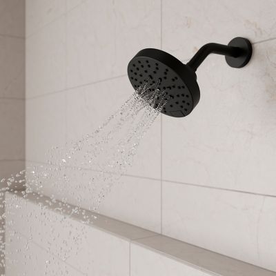 Product Vignette for pf_modernshower_ush-50shwsdb_vw10