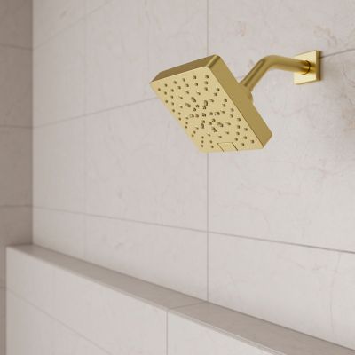 Product Vignette for pf_modernshower_ush-51shwbg_v1