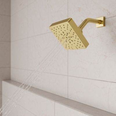 Product Vignette for pf_modernshower_ush-51shwbg_vw3