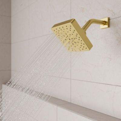 Product Vignette for pf_modernshower_ush-51shwbg_vw9