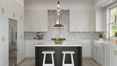 Product Vignette for pf_neera_ne_bg_rs1
