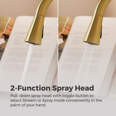 Supplementary Image pf_pfirst_mod_gt529pfmbg_img03