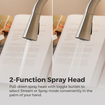 Supplementary Image pf_pfirst_mod_gt529pfms_img03