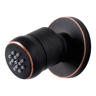 Primary Product Image for Pfister Body Jet