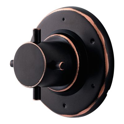 Product Thumbnail Image for pf_pfister_r79-600y_c1
