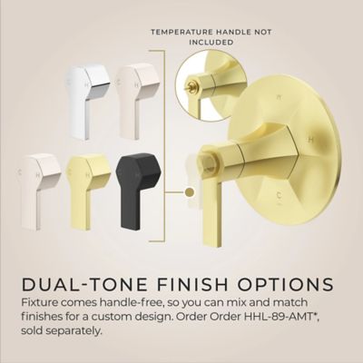 Product Thumbnail Image for pf_r89-amtbg_img05