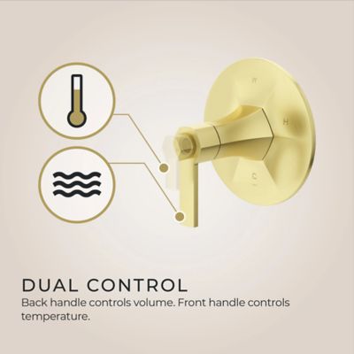 Product Thumbnail Image for pf_r89-amtbg_img06