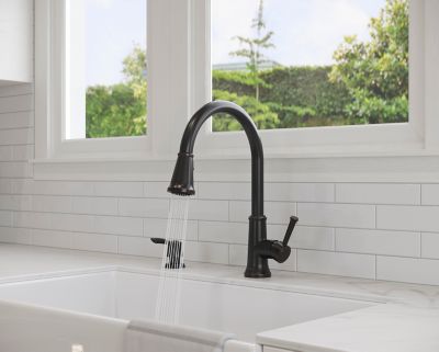 Product Vignette for pf_renato_f529-7rny_vw1-sp