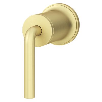 Primary Product Image for Tenet Diverter Trim