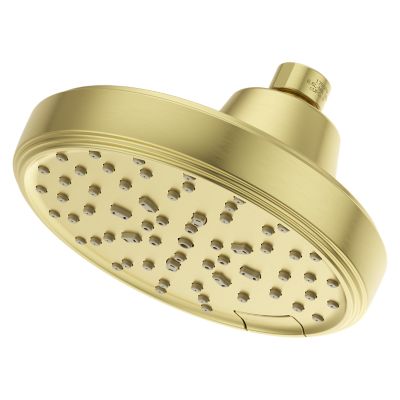 Primary Product Image for Transitional Round 5-Function Showerhead