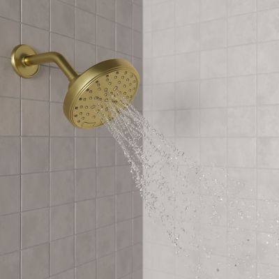 Product Vignette for pf_traditionalround_ush-52shwbg_vw10