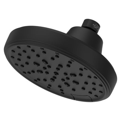 Primary Product Image for Transitional Round 5-Function Showerhead