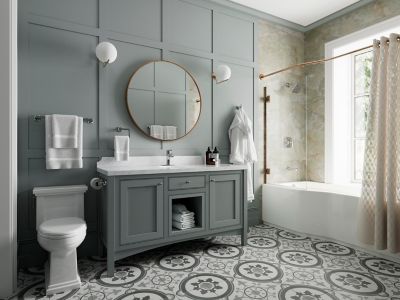 Product Vignette for pf_vaneri_brb-vri0c_rs1