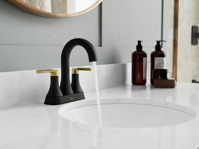 Product Vignette for pf_vaneri_lf-048-vribbg_vw2