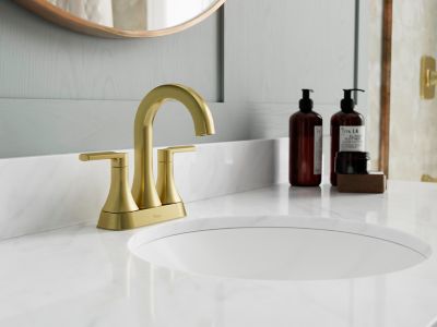 Product Vignette for pf_vaneri_lf-048-vribg_v1