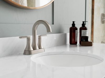 Product Vignette for pf_vaneri_lf-048-vrigs_v1