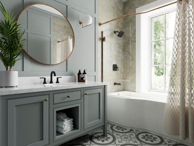 Product Vignette for pf_vaneri_lf-049-vribb_rs1-alt