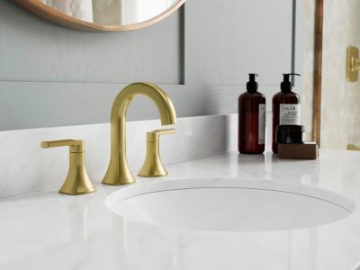 Product Vignette for pf_vaneri_lf-049-vribg_v1