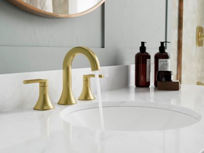 Product Vignette for pf_vaneri_lf-049-vribg_vw2