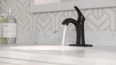 Product Vignette for pf_weller_lg42-wr0b_vw1-dp