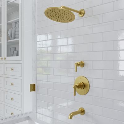 Product Vignette for pf_winterpark_016-wnbg_v1