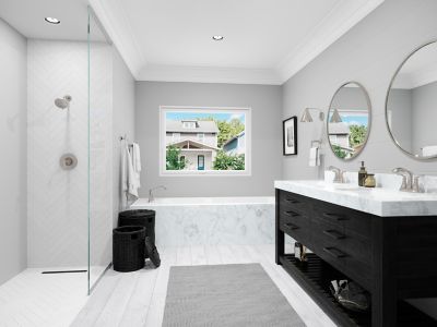 Product Vignette for pf_woodbury_lg48_brushed_nickel_rs1