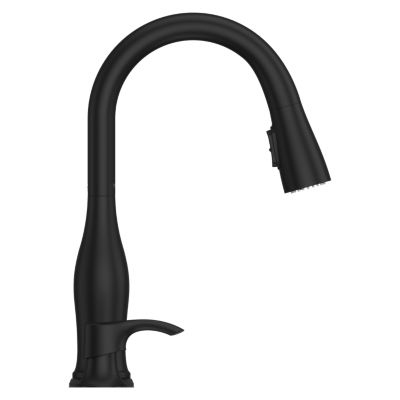 Product Thumbnail Image for pf_wray_f-529-wryb_c2-dp-sp