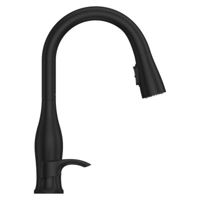 Product Thumbnail Image for pf_wray_f-529-wryb_c2-sp
