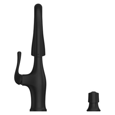 Product Thumbnail Image for pf_wray_f-529-wryb_c5-sp