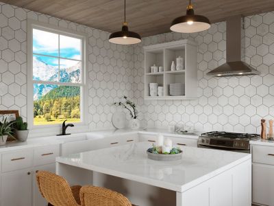 Product Vignette for pf_wray_f534-7wryb_rs1-dp