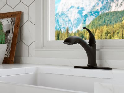 Product Vignette for pf_wray_f534-7wryb_v1-dp