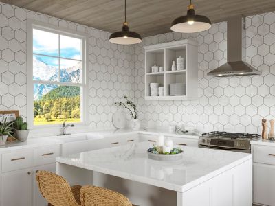 Product Vignette for pf_wray_f534-7wryc_rs1-dp