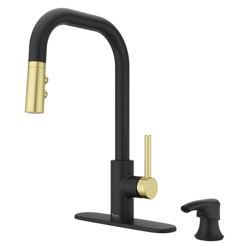 Zanna in Combo-Matte Black and Brushed Gold