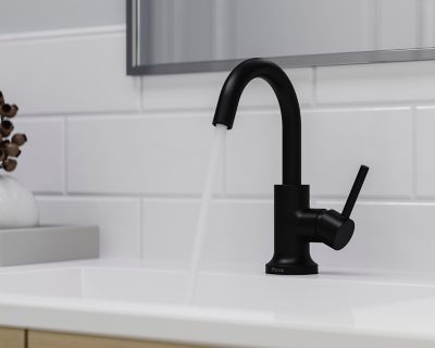 Product Vignette for pf_zeelan_lf-042-zlb_vw1
